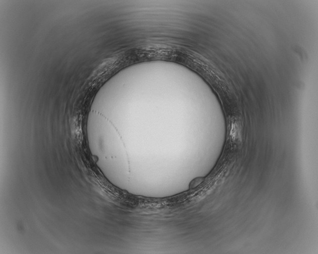 X0000112500771200908311451