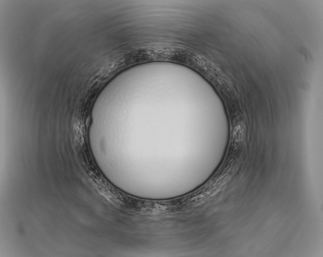 X0000112500772200908311451