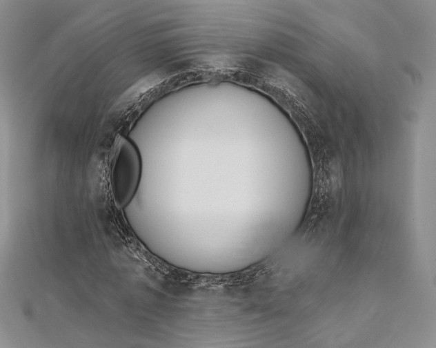 X0000112500773200908311451