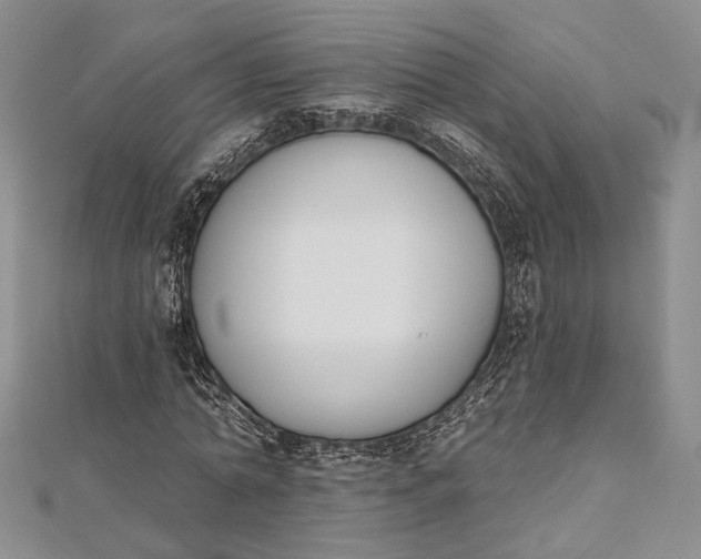 X0000112500774200908311451