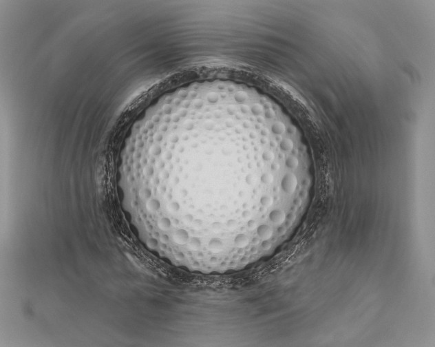 X0000112500775200908311451