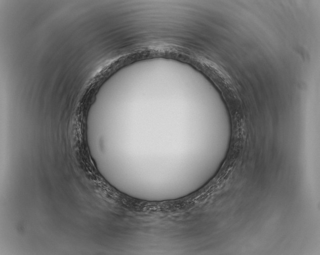 X0000112500776200908311451