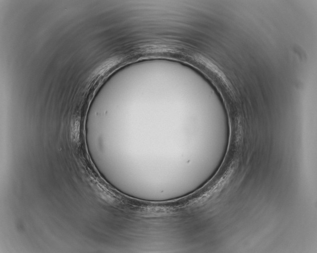 X0000112500777200908311451