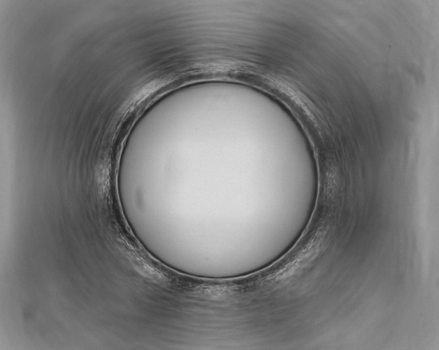 X0000112500778200908311451