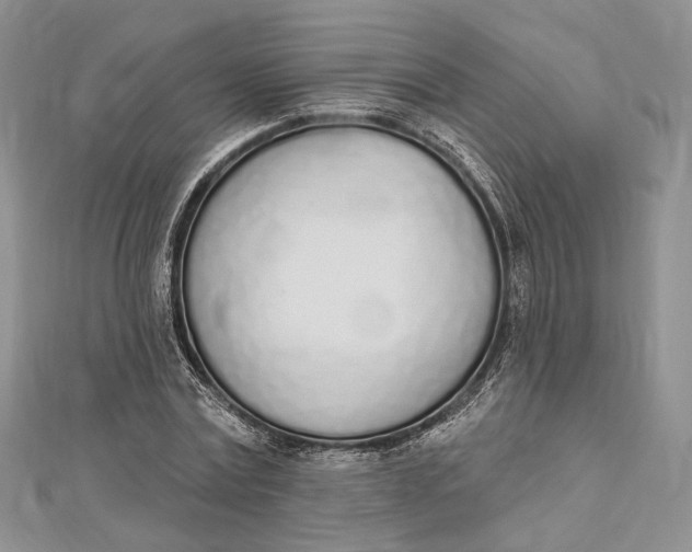 X0000112500779200908311451