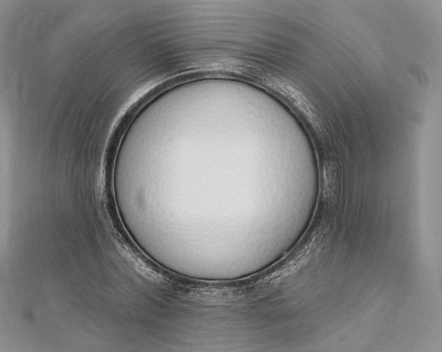 X0000112500780200908311451