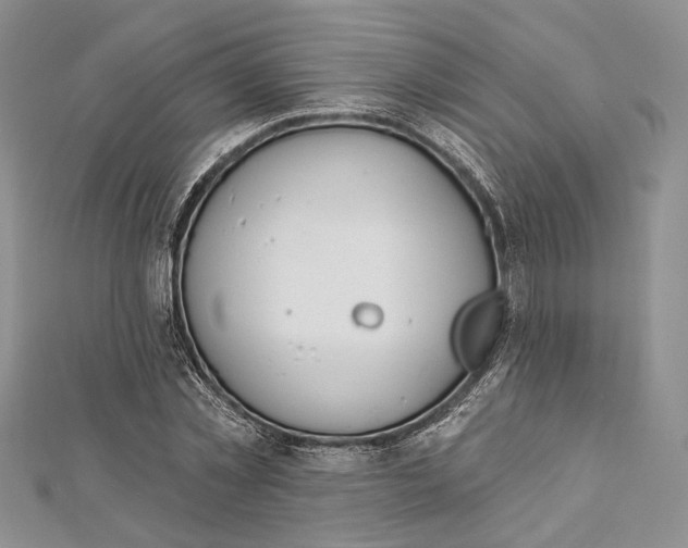 X0000112500781200908311451