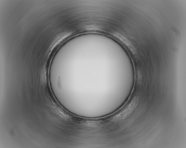 X0000112500782200908311451