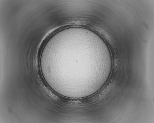 X0000112500784200908311451