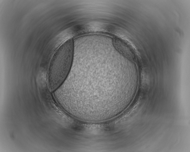 X0000112500785200908311451