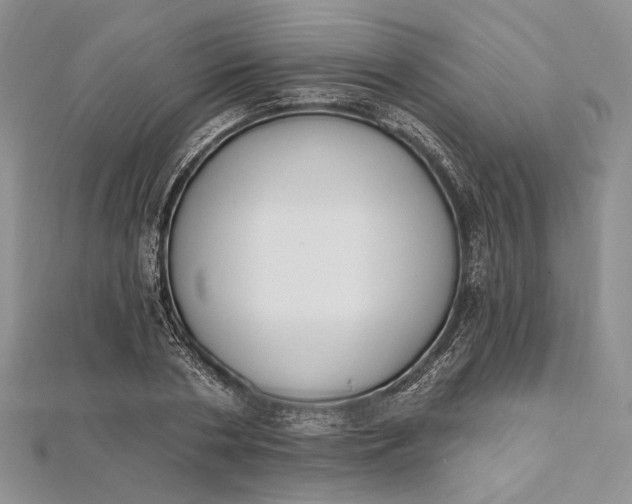 X0000112500786200908311451