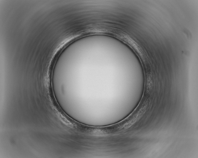 X0000112500787200908311451