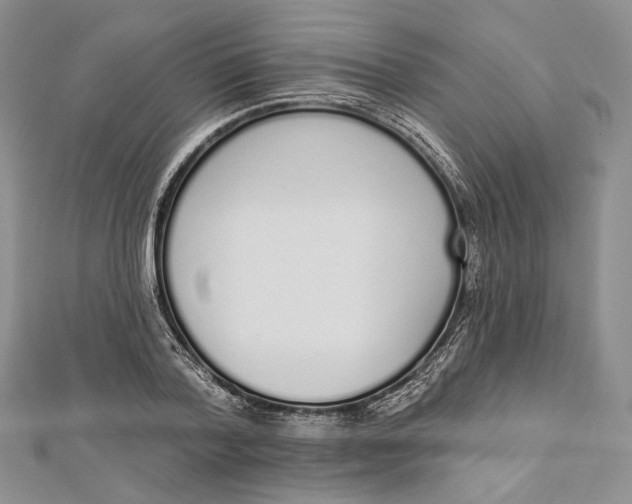 X0000112500788200908311451