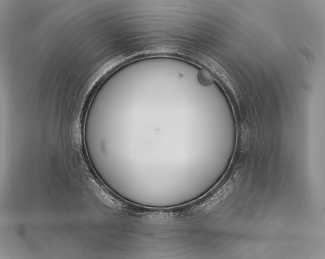 X0000112500789200908311451