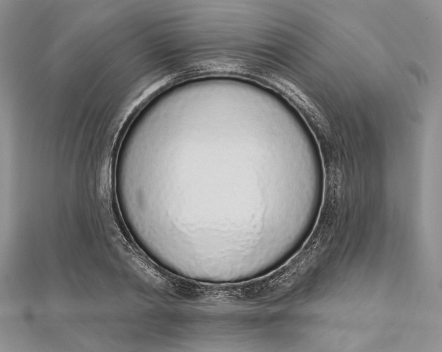 X0000112500790200908311451