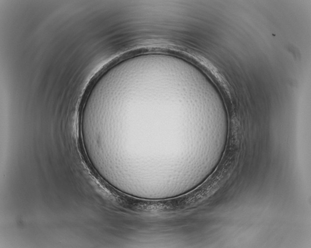 X0000112500791200908311451