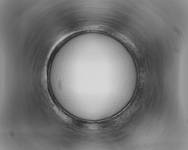 X0000112500792200908311451