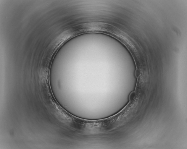 X0000112500793200908311451