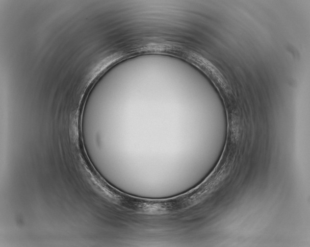 X0000112500794200908311451