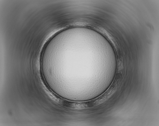 X0000112500795200908311451