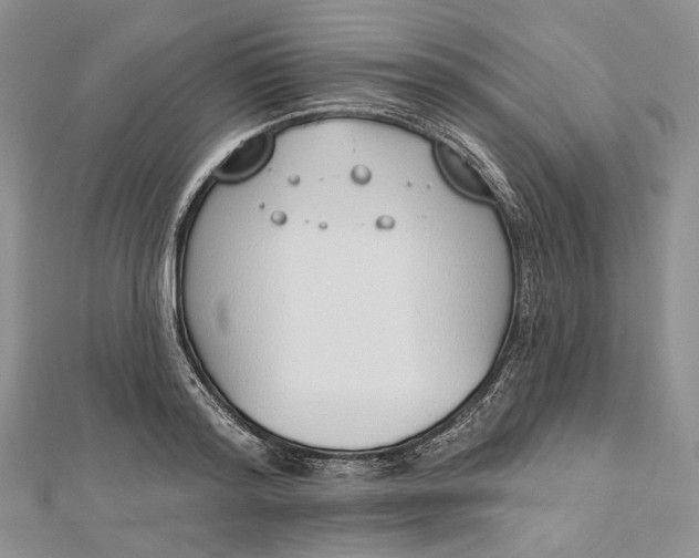 X0000112500796200908311451