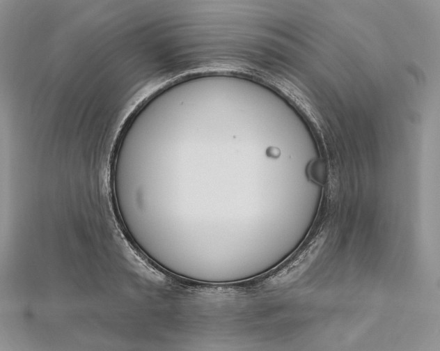 X0000112500797200908311451