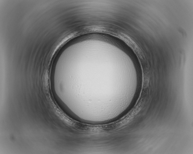 X0000112500798200908311451