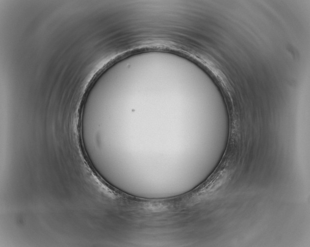 X0000112500799200908311451