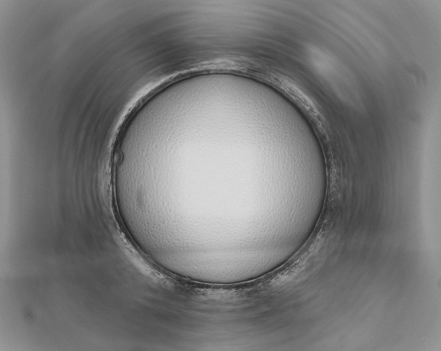 X0000112500800200908311451