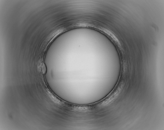 X0000112500801200908311451