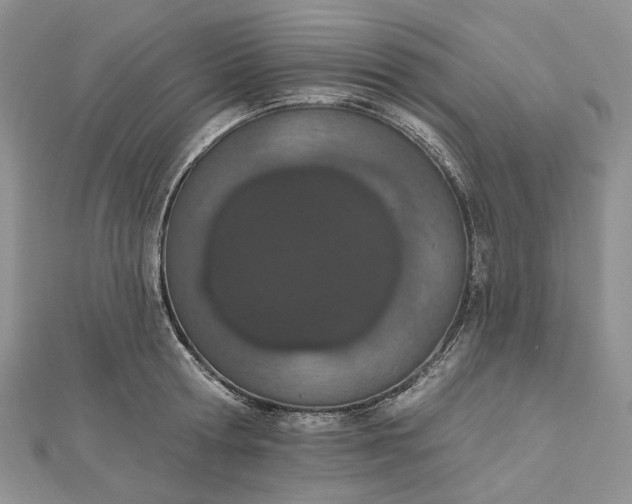 X0000112500802200908311451