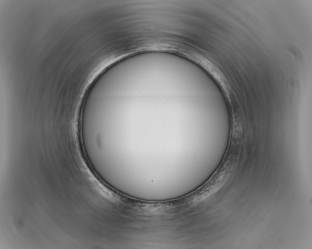 X0000112500803200908311451