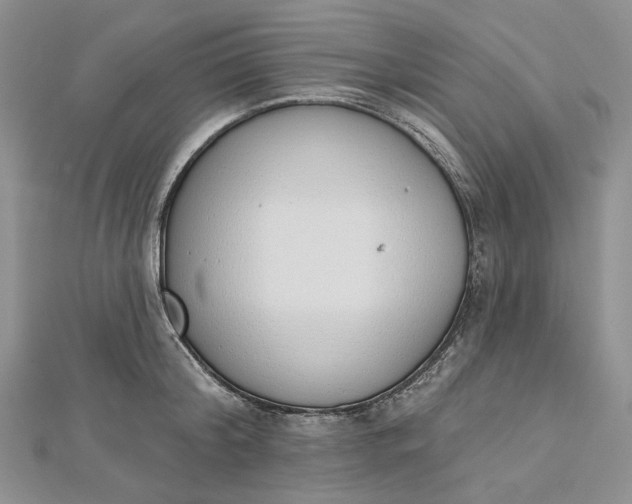 X0000112500804200908311451