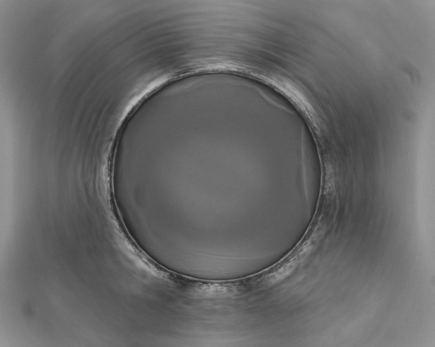 X0000112500806200908311451