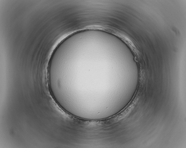 X0000112500808200908311451