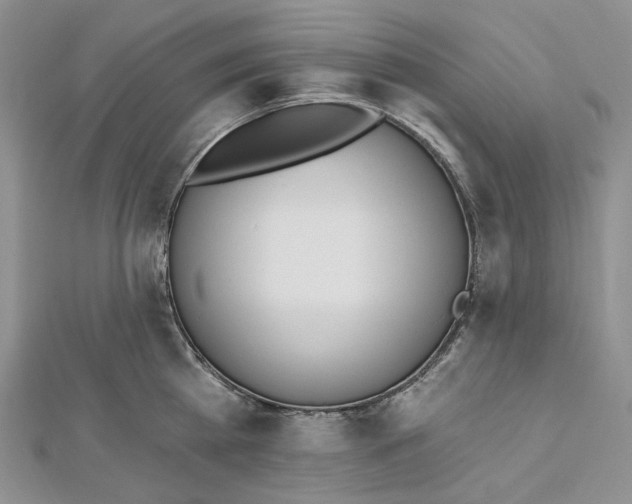 X0000112500809200908311451