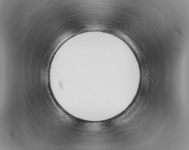 X0000112500810200908311451