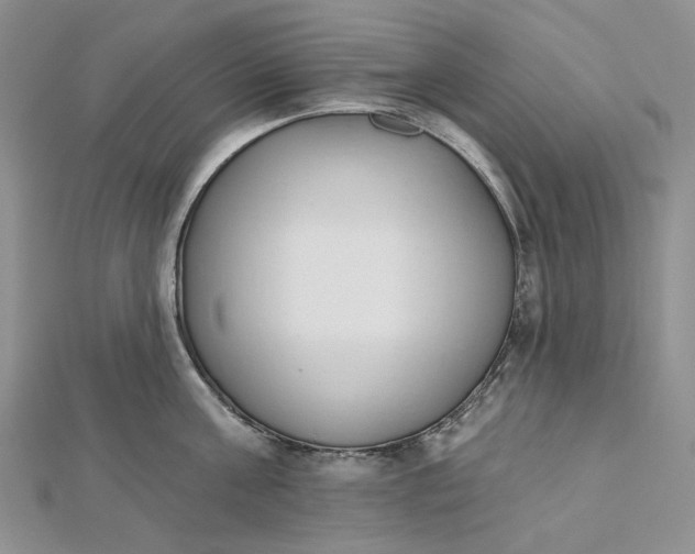 X0000112500811200908311451