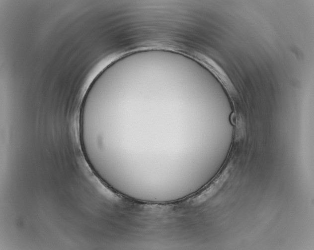 X0000112500812200908311451