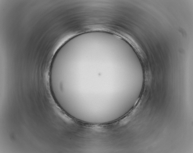 X0000112500814200908311451