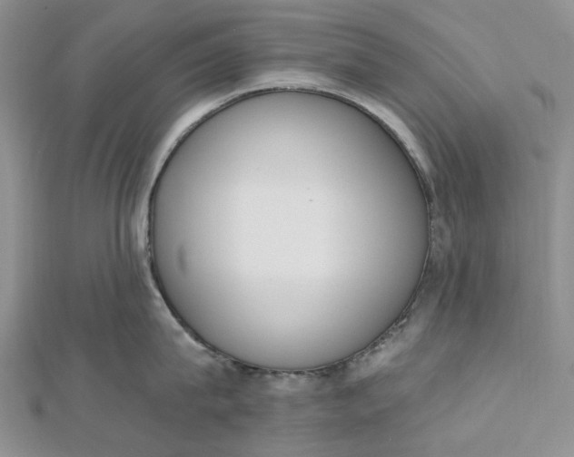 X0000112500815200908311451