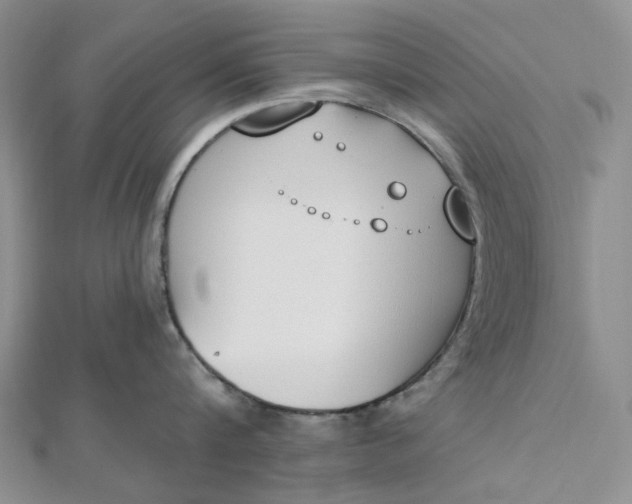 X0000112500816200908311451