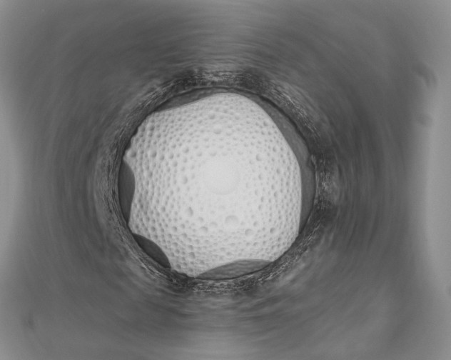 X0000112500817200908311450