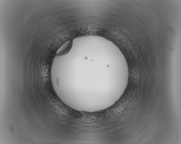 X0000112500818200908311450