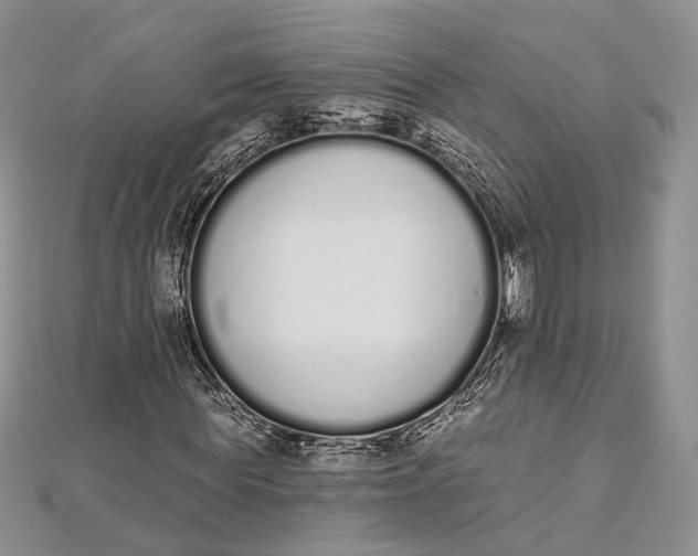 X0000112500819200908311450