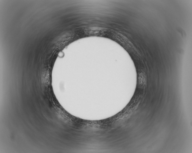 X0000112500820200908311450