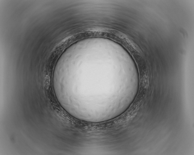 X0000112500821200908311450