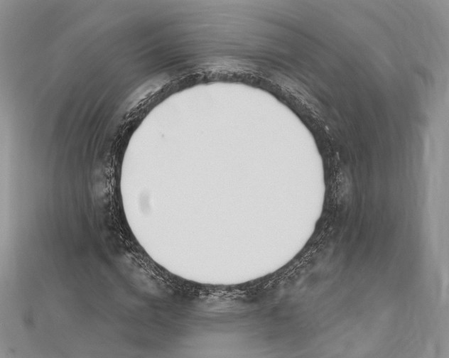 X0000112500824200908311450