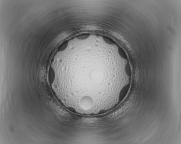 X0000112500825200908311450