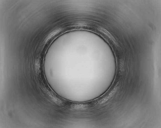 X0000112500826200908311450